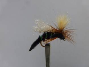 Size 12 Spotlight Caddis Emerger Black